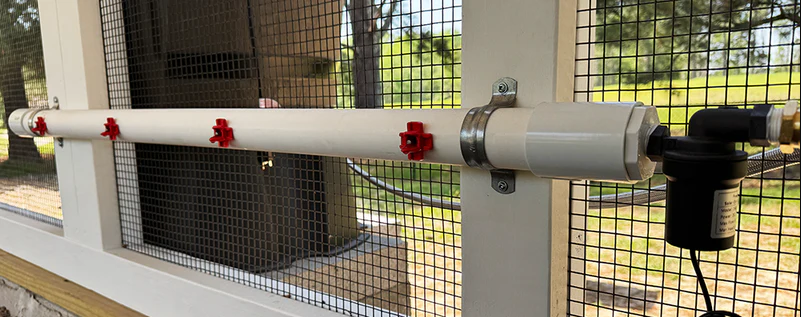 preventing sour crop in chickens with clean water system and proper feed storage