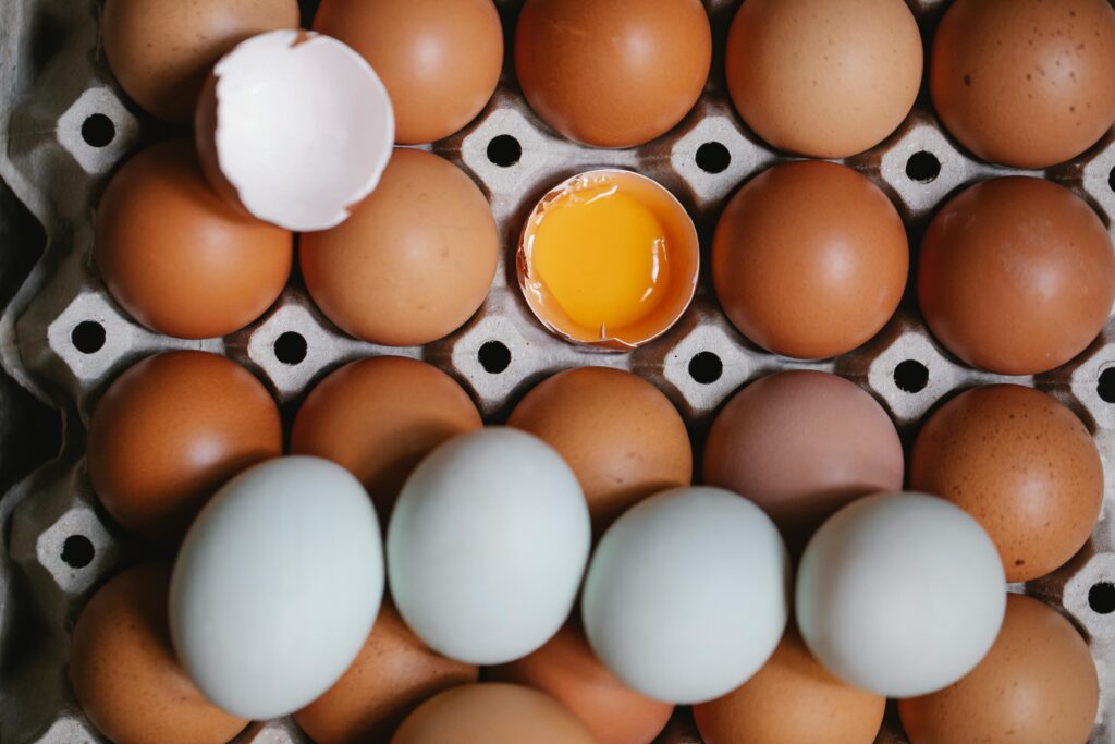Common Egg Defects in Backyard Chickens: Shell, Yolk & Albumen Problems Explained Basket of normal and slightly abnormal chicken eggs collected from backyard hens