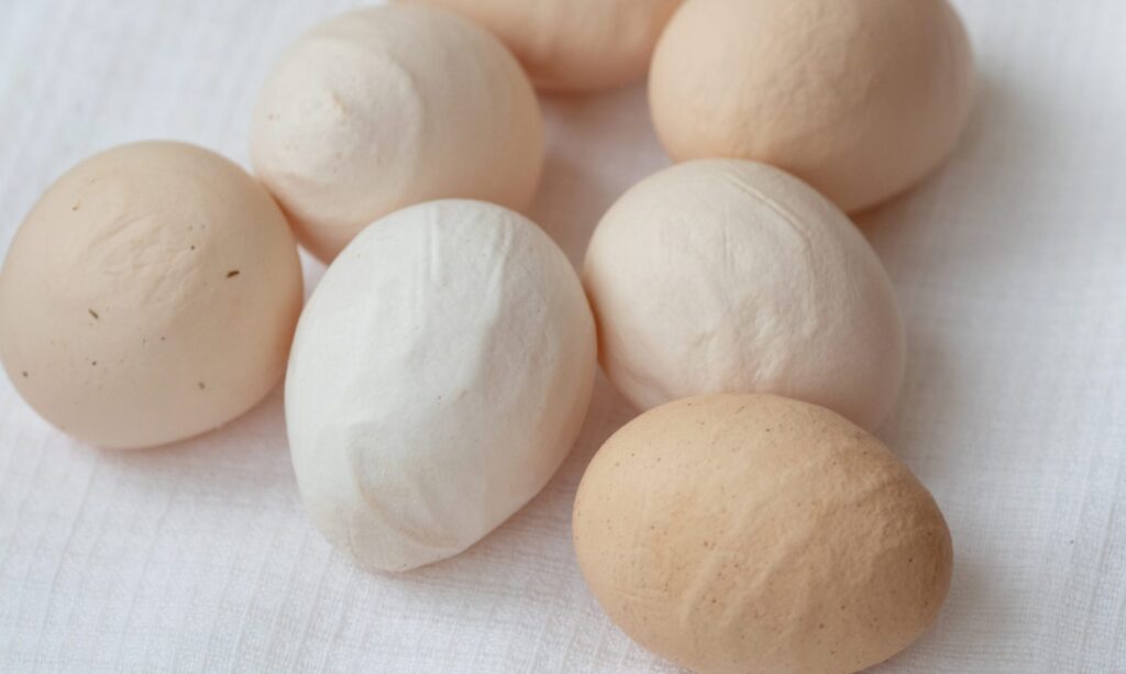 Common Egg Defects in Backyard Chickens: Shell, Yolk & Albumen Problems Explained Abnormal chicken eggs showing pale EDS-affected shell and soft shell side by side