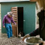 backyard chicken coop new mexico