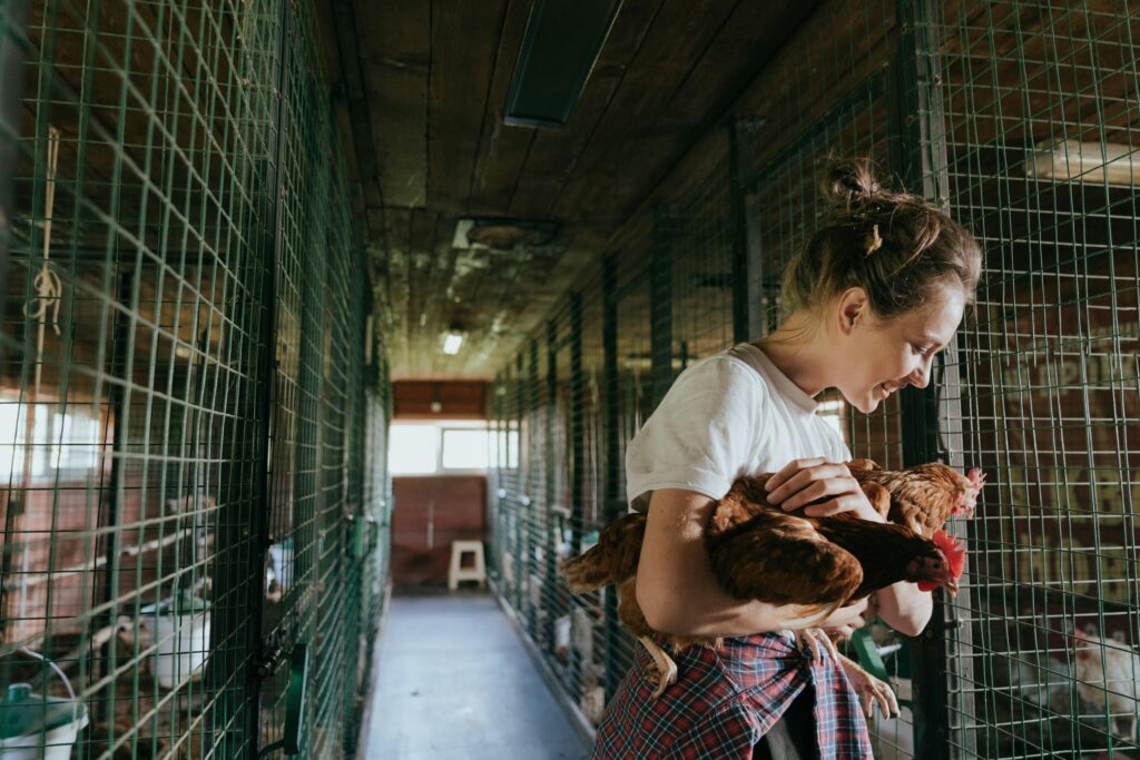 A beginner chicken keeper holding a fluffy Buff Orpington hen in a small suburban backyard with a compact chicken coop and run visible behind them