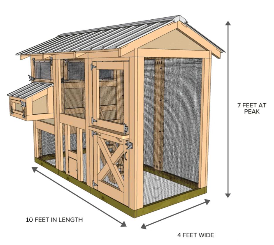 Raising Chickens for Beginners: 15 Mistakes to Avoid in 2026 Coop space diagram for raising chickens for beginners