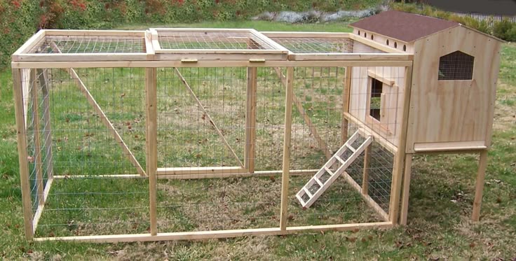 Raising Chickens for Beginners: The Best Backyard Setup Guide (2026) Predator proof chicken coop with hardware cloth for beginners