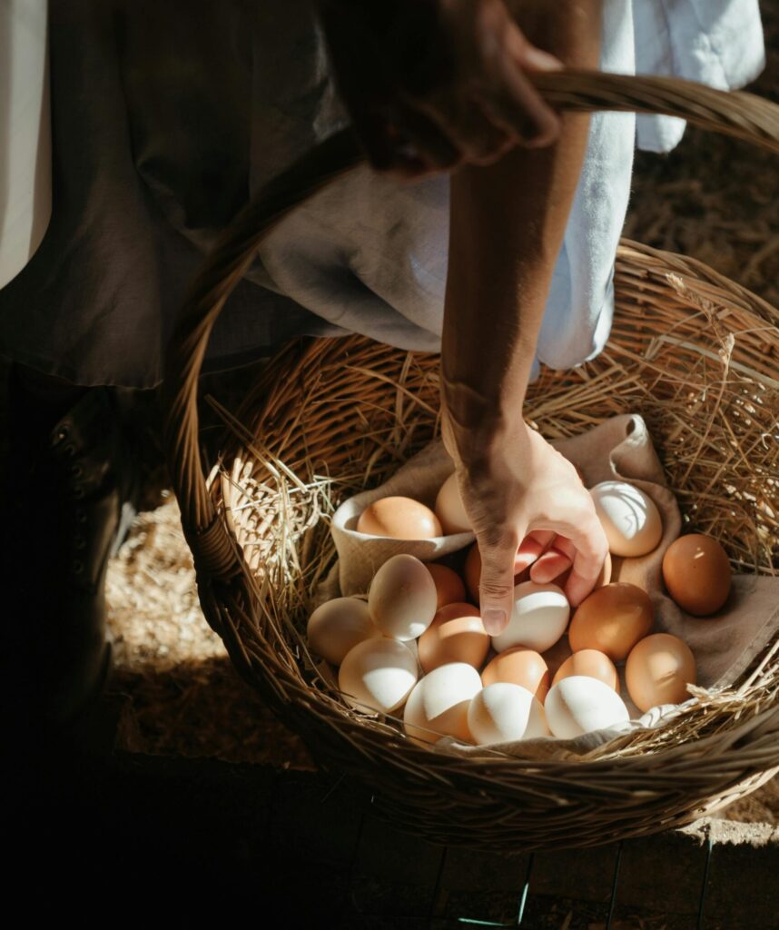 How Many Chickens Should I Start With? The Best Beginner's Flock Size Guide (2026) how many chickens for a family of 4 - kids collecting fresh eggs from backyard hens